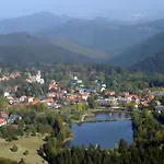 In Near Harz Forest