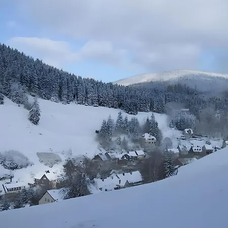 In Near Harz Forest شقة
