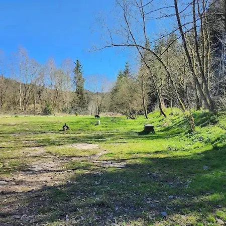 Apartamento In Near Harz Forest *
