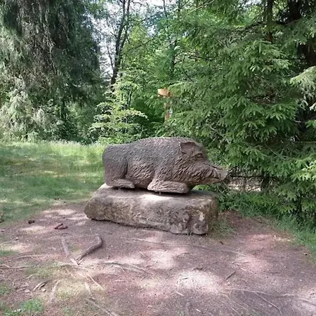 شقة In Near Harz Forest فيلديمان