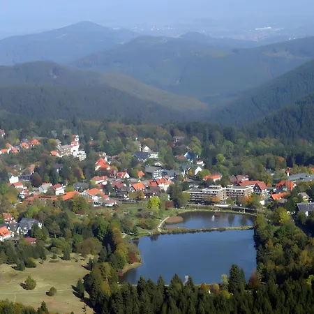 In Near Harz Forest
