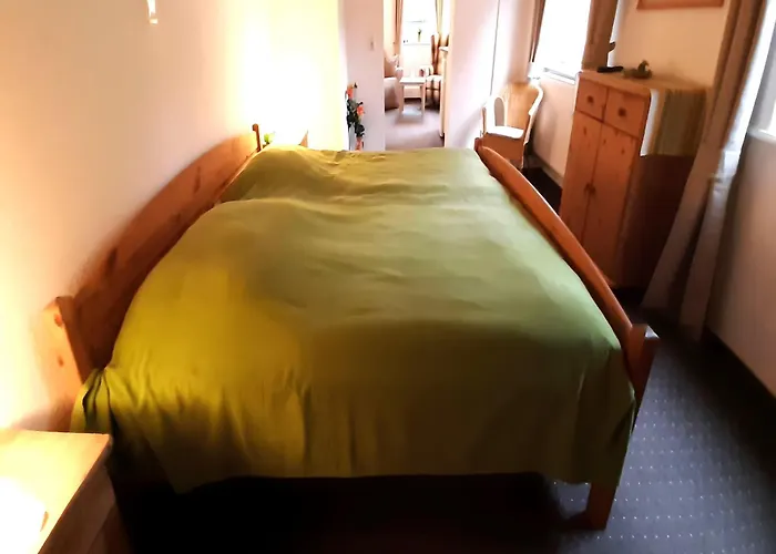 In Near Harz Forest Wildemann