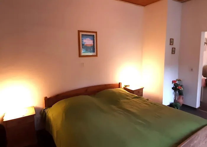 In Near Harz Forest * Wildemann