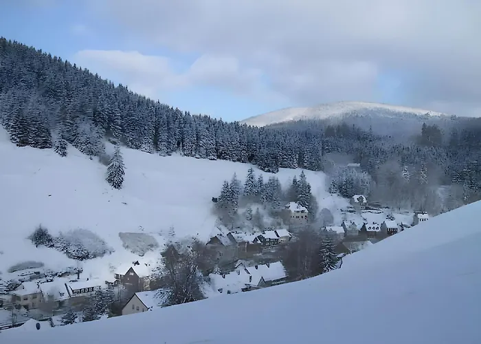 In Near Harz Forest Διαμέρισμα