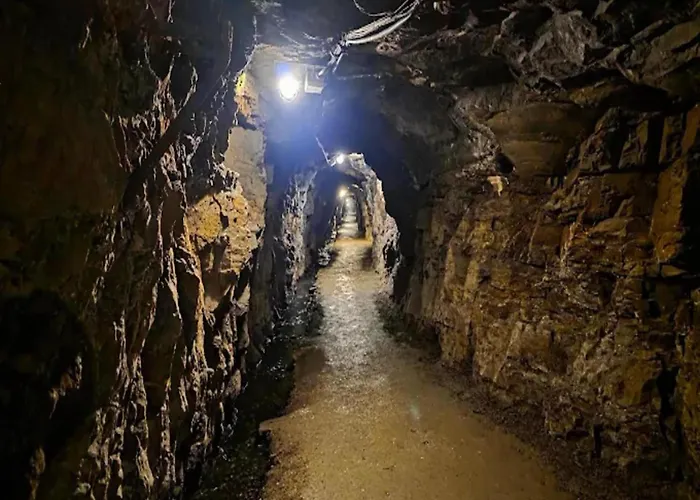 In Near Harz Forest Διαμέρισμα Wildemann