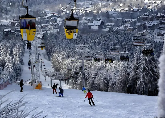 In Near Harz Forest *