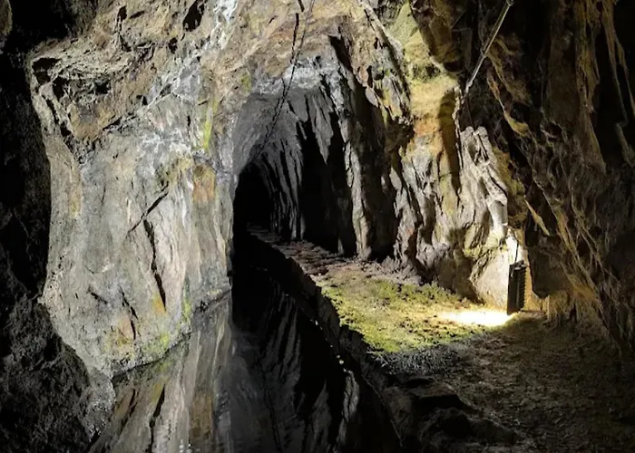 In Near Harz Forest Wildemann