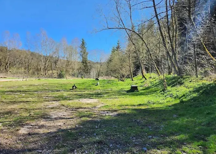 Διαμέρισμα In Near Harz Forest *